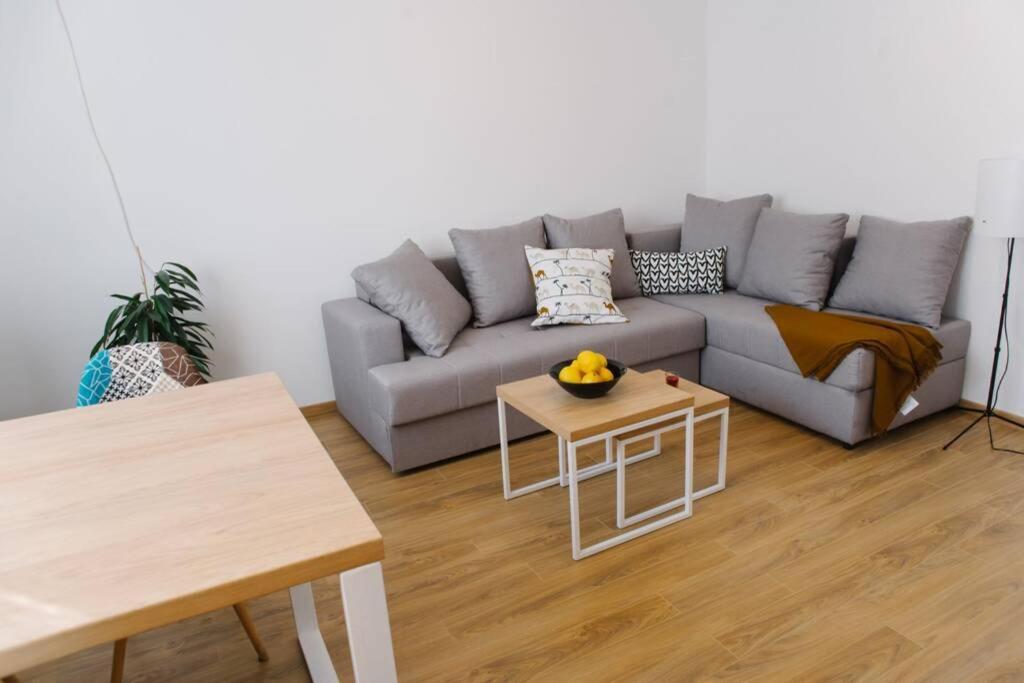 Millennium Bridge Cozy Apartment Top Location Podgorica Bagian luar foto